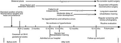 A novel compound heterozygous variant of ECEL1 induced joint dysfunction and cartilage degradation: a case report and literature review